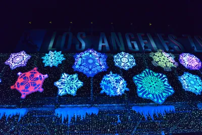 DSC_6966 (Large).JPG